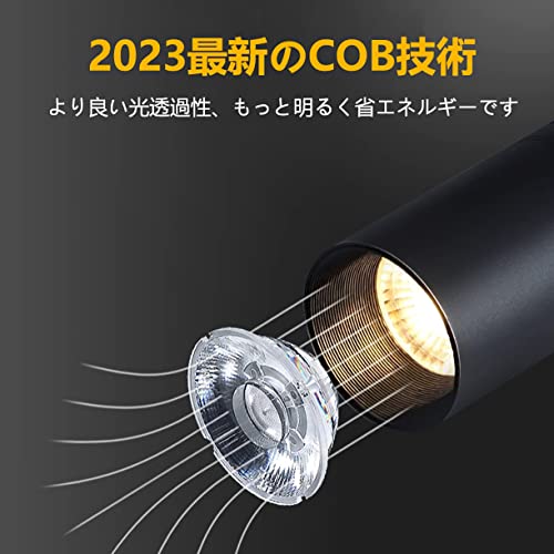 ダクトレールライト ライティングレール用スポットライト ledスポットライト消費電力10W 暖かい光3000K LED搭載 大光量1100lm アメリカ(BridgeLux)LEDチップ 演色性Ra96.5 器具一体型 電球不要 取付簡単 ブラック(ブラック+電球色+6個入り)